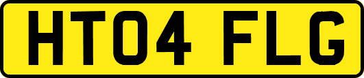 HT04FLG