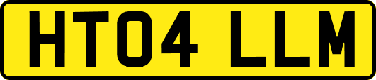 HT04LLM