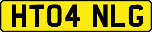 HT04NLG