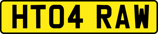 HT04RAW