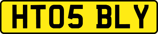HT05BLY