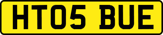 HT05BUE