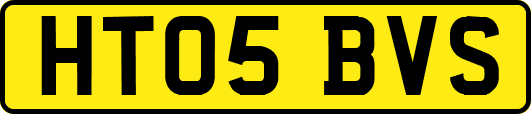 HT05BVS
