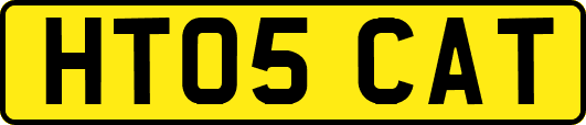 HT05CAT