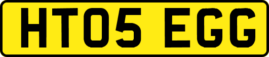 HT05EGG