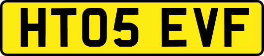 HT05EVF