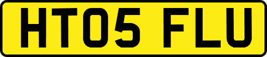 HT05FLU