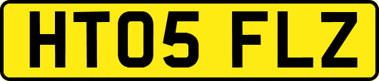 HT05FLZ