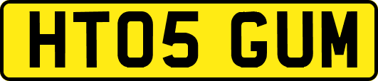 HT05GUM