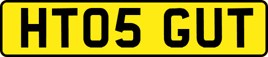 HT05GUT