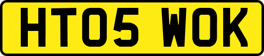 HT05WOK
