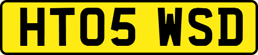 HT05WSD