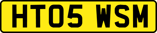 HT05WSM