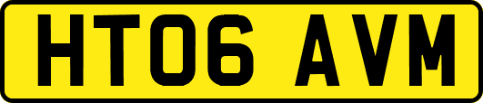 HT06AVM