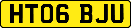 HT06BJU