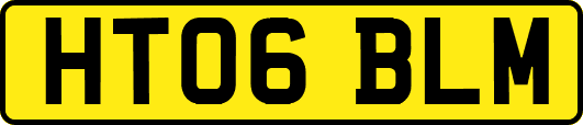 HT06BLM