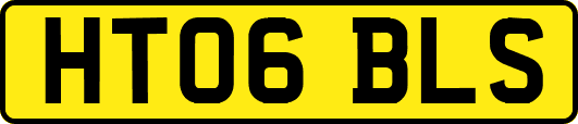 HT06BLS