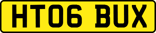 HT06BUX