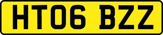 HT06BZZ
