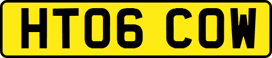 HT06COW