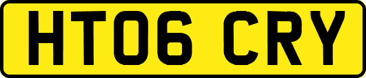 HT06CRY