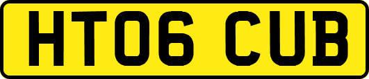 HT06CUB