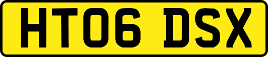 HT06DSX