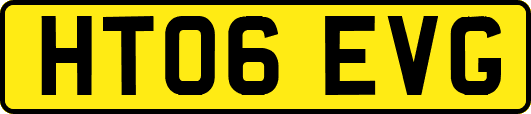 HT06EVG