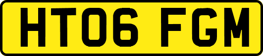 HT06FGM