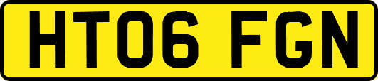 HT06FGN