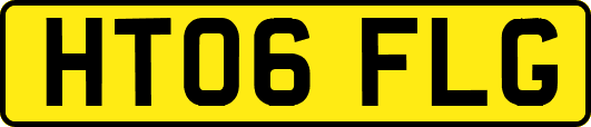 HT06FLG