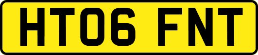 HT06FNT