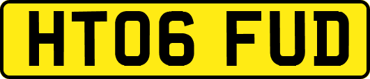 HT06FUD