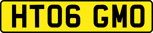 HT06GMO