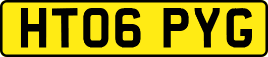 HT06PYG