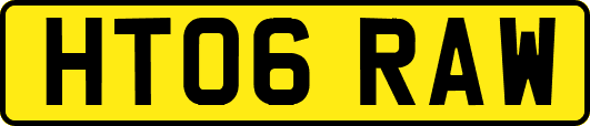 HT06RAW