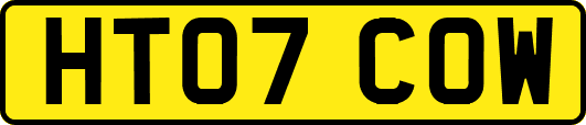 HT07COW