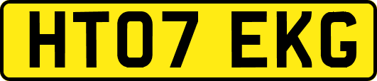 HT07EKG