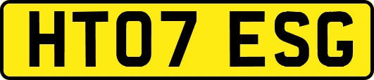 HT07ESG
