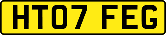 HT07FEG