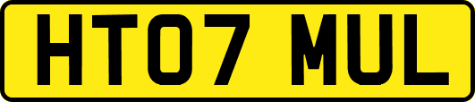 HT07MUL