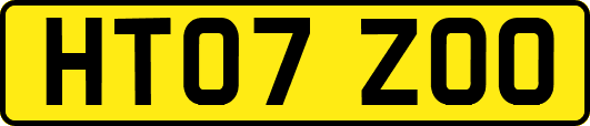 HT07ZOO
