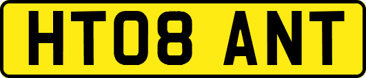 HT08ANT