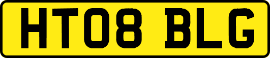 HT08BLG