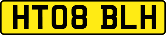 HT08BLH