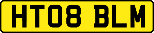 HT08BLM