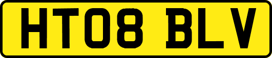 HT08BLV