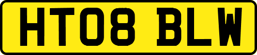 HT08BLW
