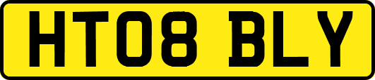 HT08BLY