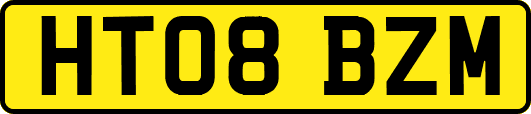 HT08BZM